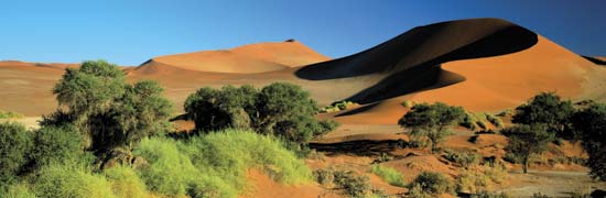 Namibia tour 13Days